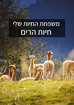 צפייה בסרט המלא - משפחת החיות - בעלי חיים בהרים