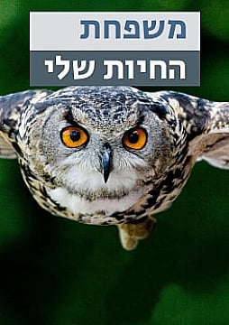 צפייה בסרט המלא - משפחת החיות שלי - ינשוף
