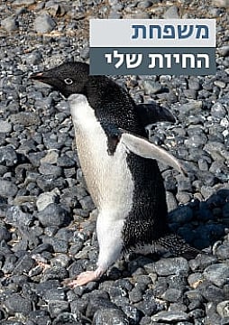 צפייה בסרט המלא - משפחת החיות שלי - פינגווין