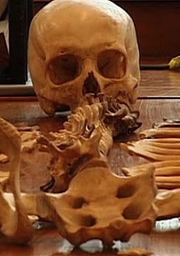 צפייה בסרט המלא - Bodies of Evidence - The Sex of the Skeleton