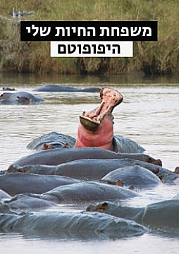 צפייה בסרט המלא - משפחת החיות שלי - היפופוטם