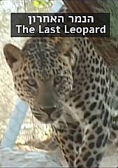 Watch Full Movie - The Last Leopard