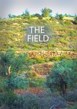 צפייה בסרט המלא - The Field