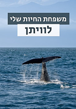 צפייה בסרט המלא - משפחת החיות שלי - לוויתן