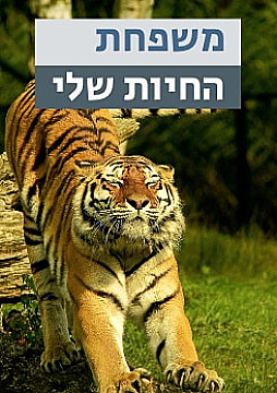 צפייה בסרט המלא - משפחת החיות שלי - טיגר