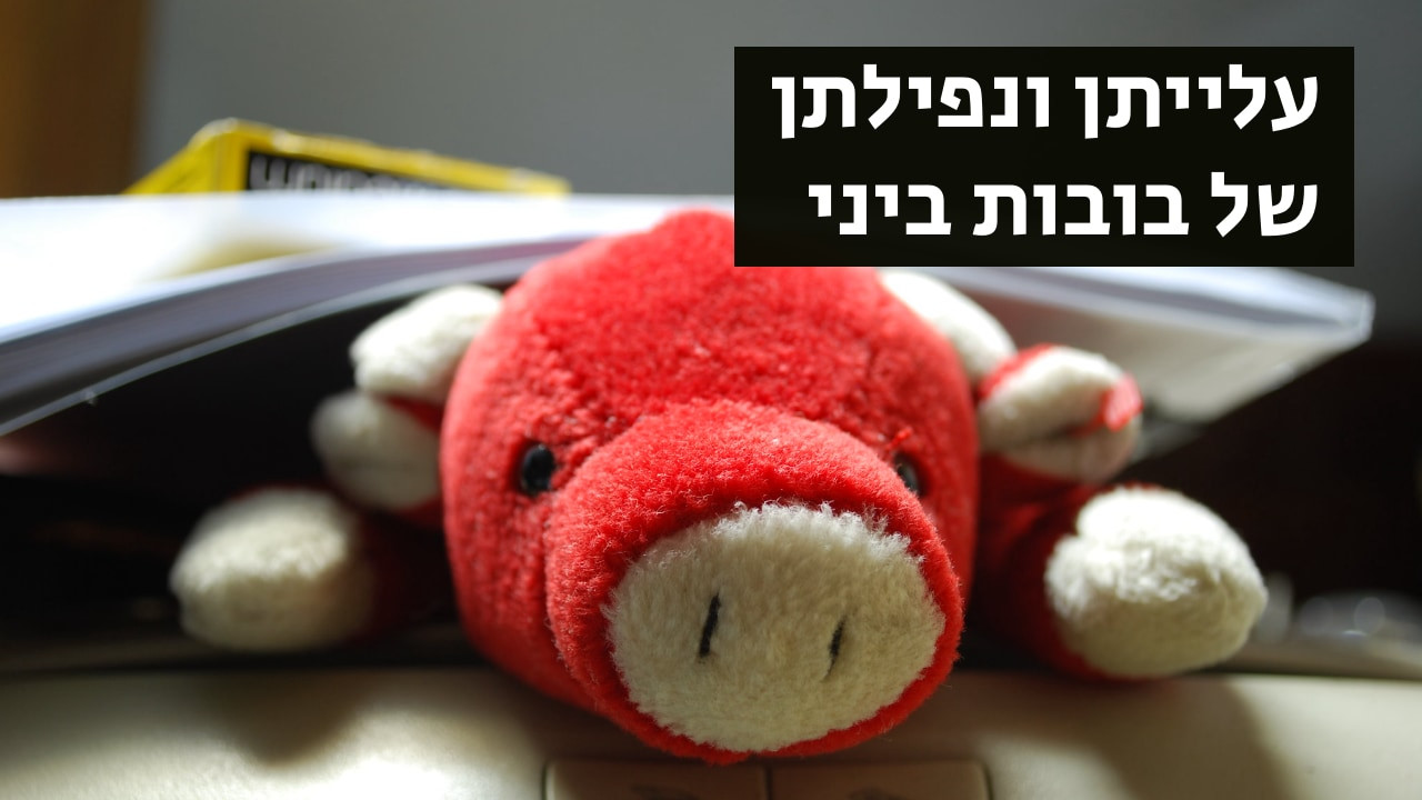 צפייה בסרט המלא עלייתן ונפילתן של בובות ביני - צפייה בטריילר