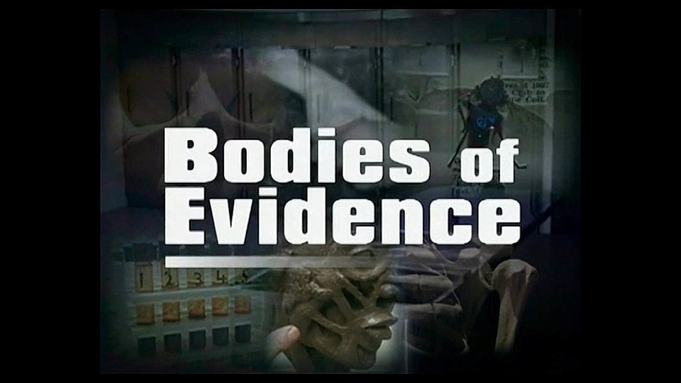 Watch Full Movie - Bodies of Evidence - The Scent of Evil - לצפיה בטריילר