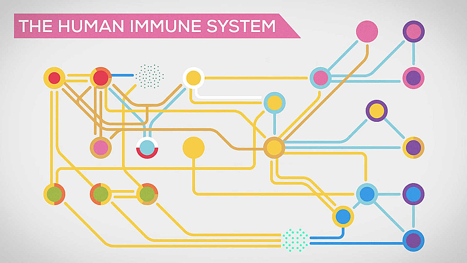 צפייה בסרט המלא The Immune System Explained: Bacteria Infection - צפייה בטריילר