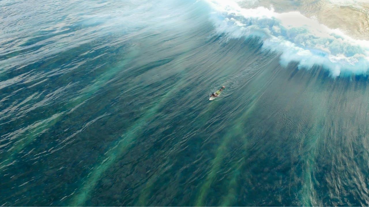 צפייה בסרט המלא - כוכב הלכת אוקיאנוס - לצפיה בטריילר