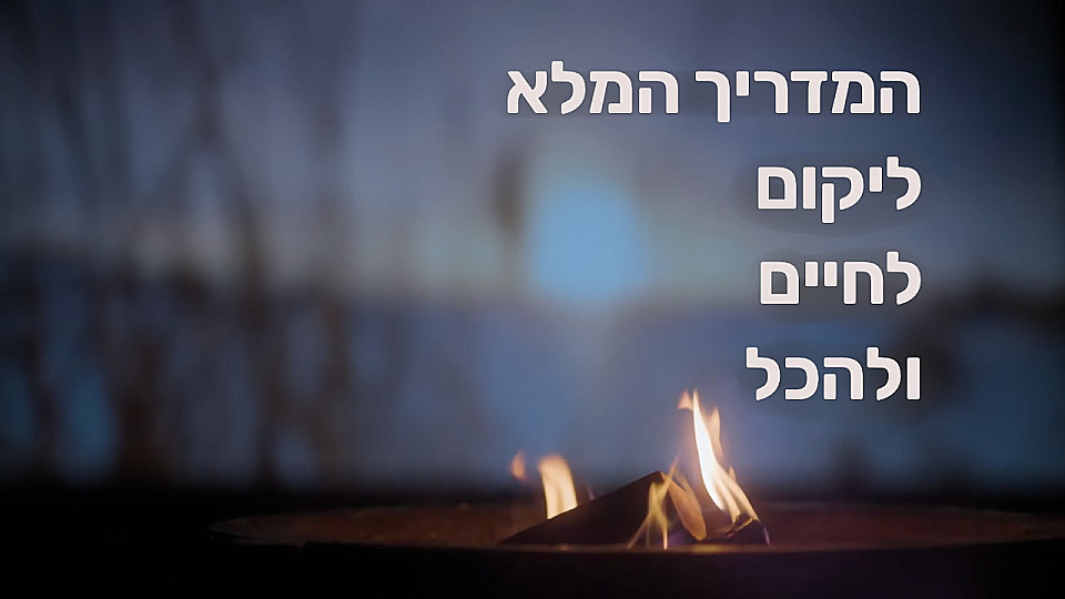 צפייה בסרט המלא המדריך המלא לחיים, ליקום ולהכל - צפייה בטריילר
