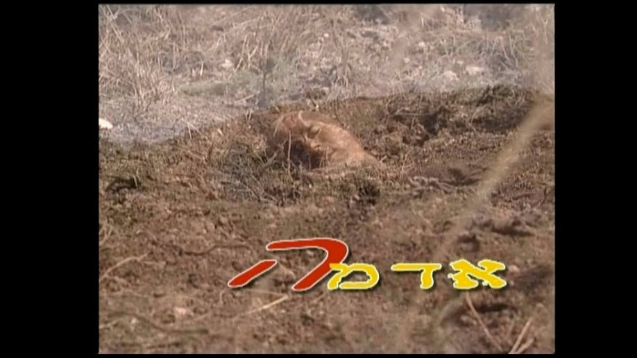 צפייה בסרט המלא - אדמה - לצפיה בטריילר