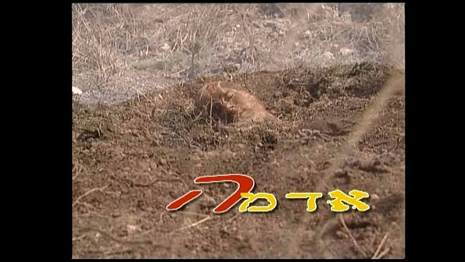 צפייה בסרט המלא אדמה - צפייה בטריילר