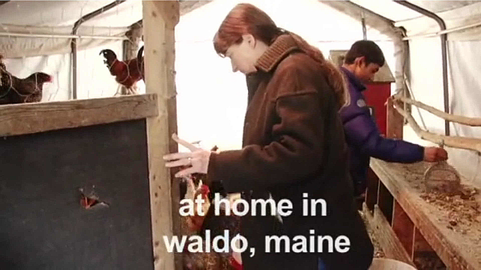 צפייה בסרט המלא At Home In Waldo, Maine - צפייה בטריילר
