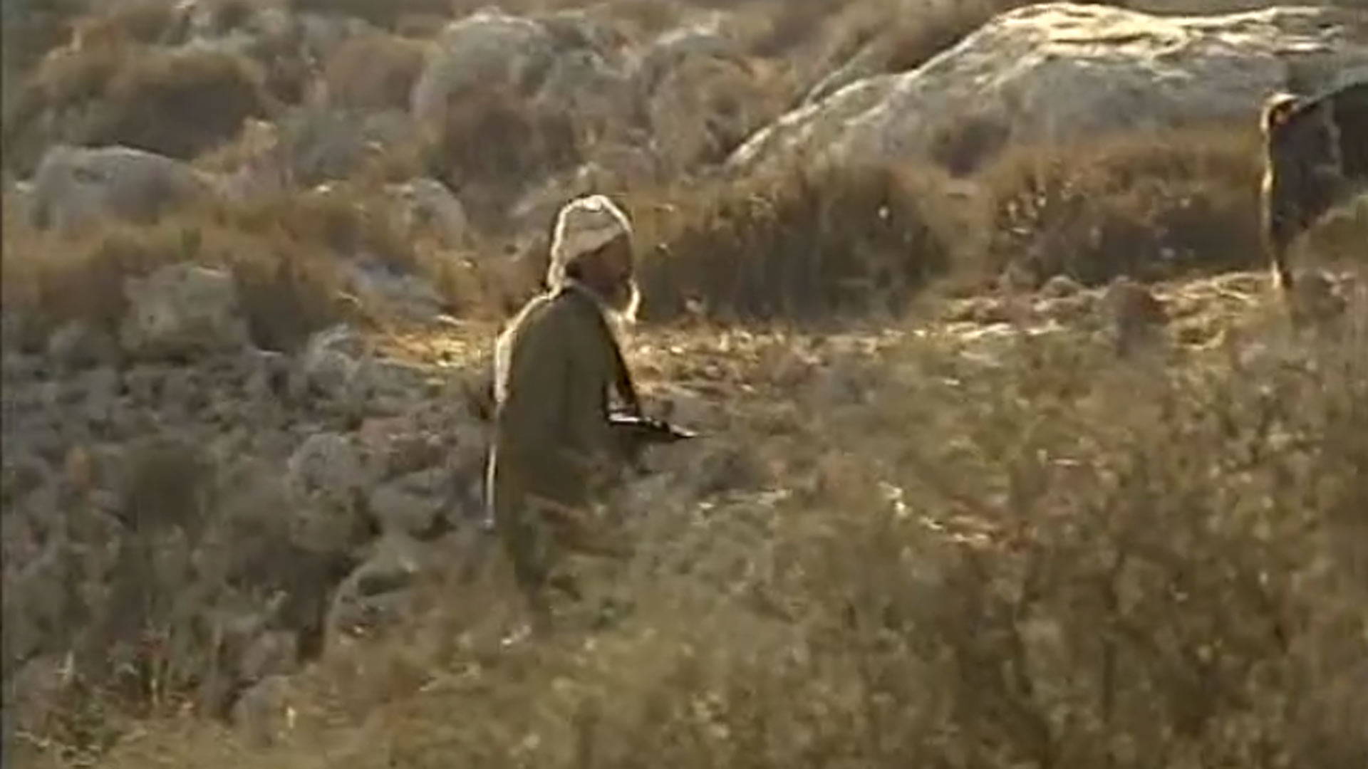צפייה בסרט המלא בין זית לתפוח - צפייה בטריילר