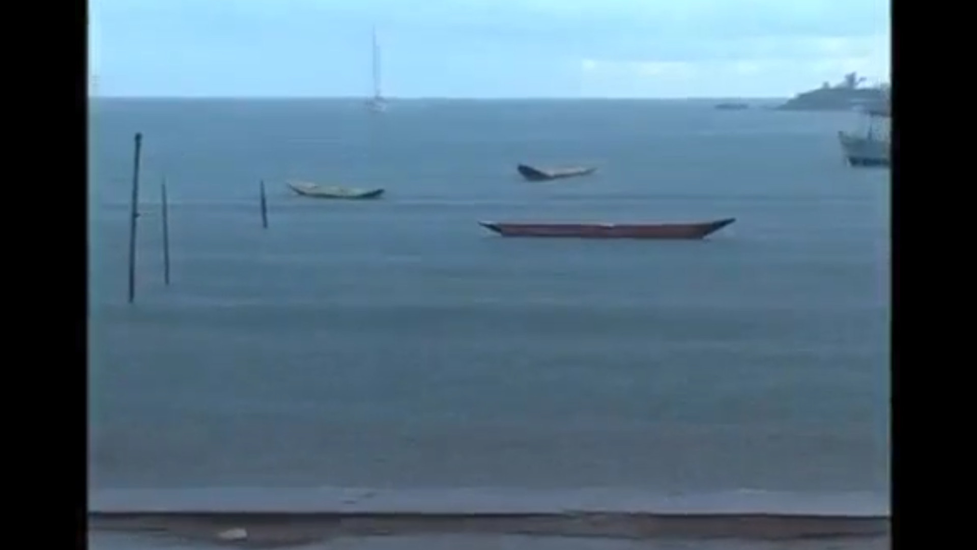 צפייה בסרט המלא - Gatos (Cats) - לצפיה בטריילר