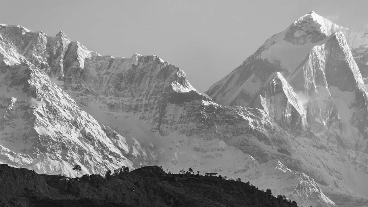צפייה בסרט המלא - בחצר האחורית של אלוהים - לצפיה בטריילר