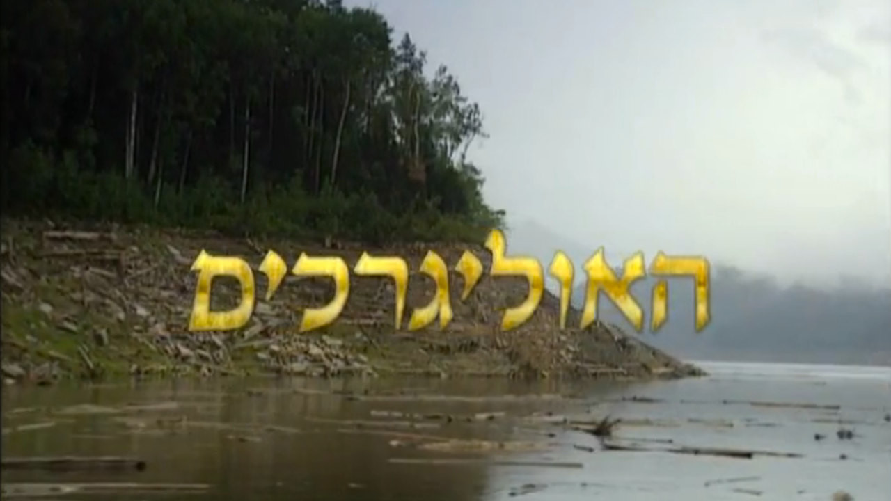 צפייה בסרט המלא - האוליגרכים: אדוני הקרמלין - לצפיה בטריילר